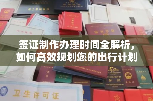 新林签证制作办理时间全解析，如何高效规划您的出行计划