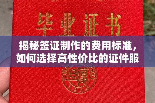 碧江揭秘签证制作的费用标准，如何选择高性价比的证件服务